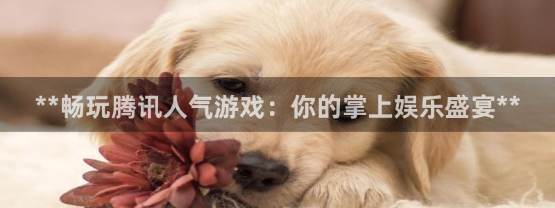 沐鸣娱乐2平台