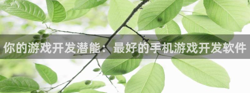 沐鸣娱乐2游戏说明