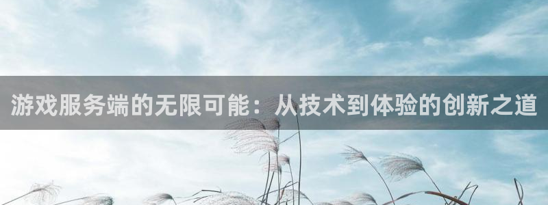 沐鸣2官方注册：游戏服务端的无限可能：从技术到体验的创新之道