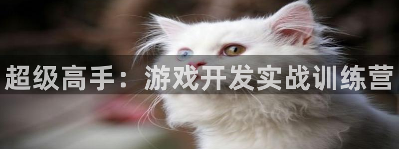 沐鸣2平台主管代理：超级高手：游戏开发实战训练营