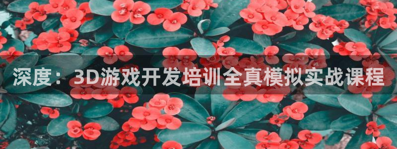 沐鸣2挂机注册：深度：3D游戏开发培训全真模拟实战课程