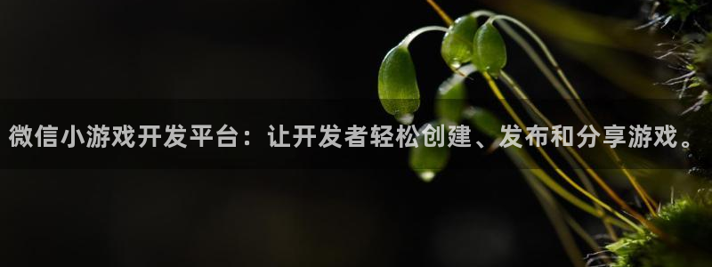 沐鸣娱乐2上来77542：微信小游戏开发平台：让开发者轻松创建、发布和分享游戏。