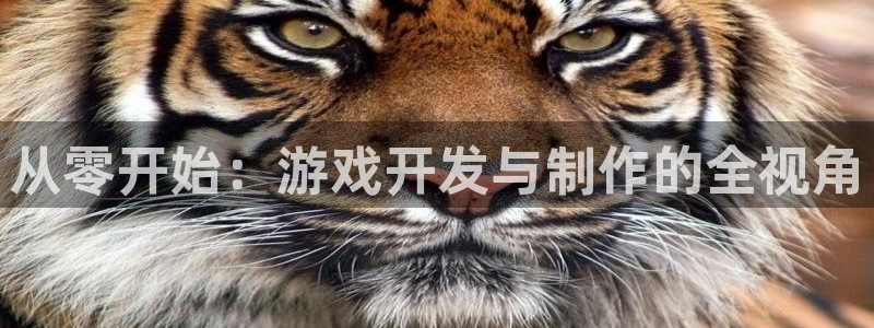 沐鸣娱乐2登陆不上怎么办：从零开始：游戏开发与制作的全视角