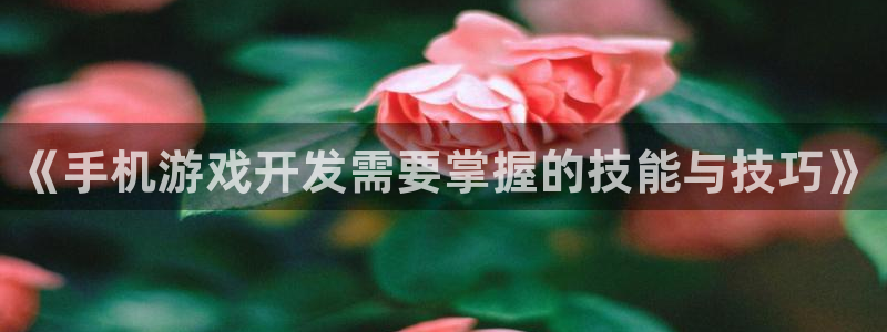 沐鸣2娱乐平台登录客服：《手机游戏开发需要掌握的技能与技巧》