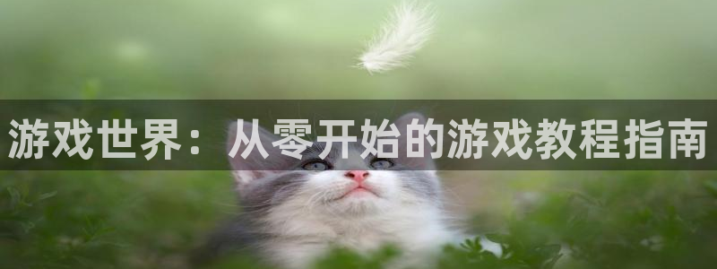 沐鸣娱乐2官方平台是什么：游戏世界：从零开始的游戏教程指南