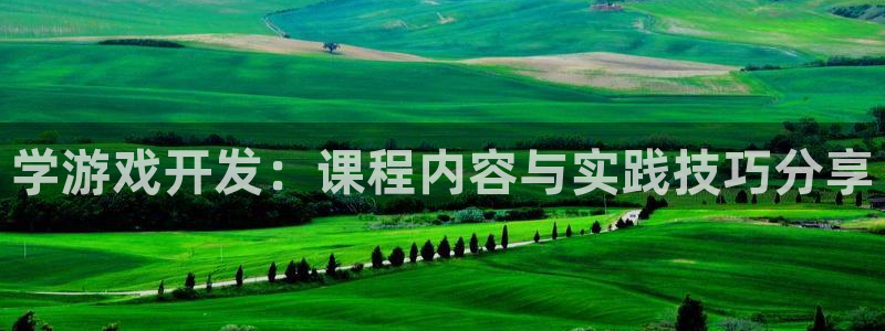 沐鸣2平台招商：学游戏开发：课程内容与实践技巧分享