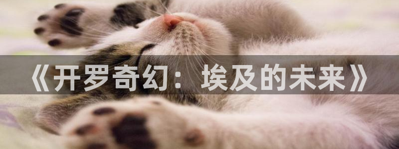 沐鸣2平台关7O777：《开罗奇幻：埃及的未来》