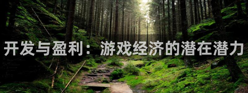 沐鸣2代理官网：开发与盈利：游戏经济的潜在潜力