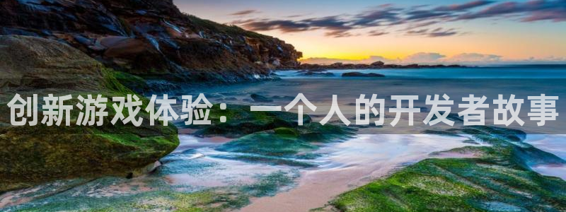 沐鸣2娱乐平台登录客服：创新游戏体验：一个人的开发者故事