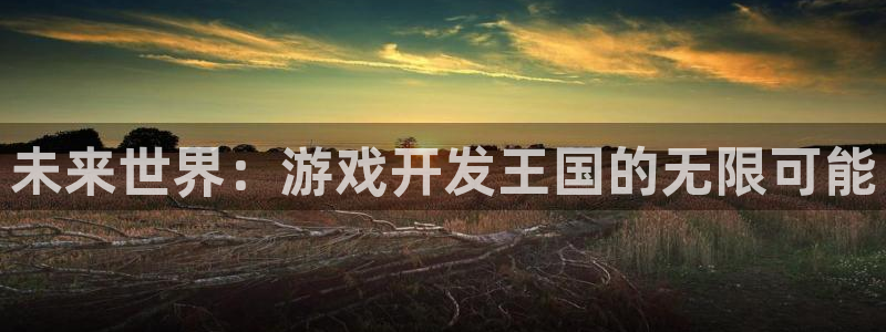 沐鸣2多少年：未来世界：游戏开发王国的无限可能