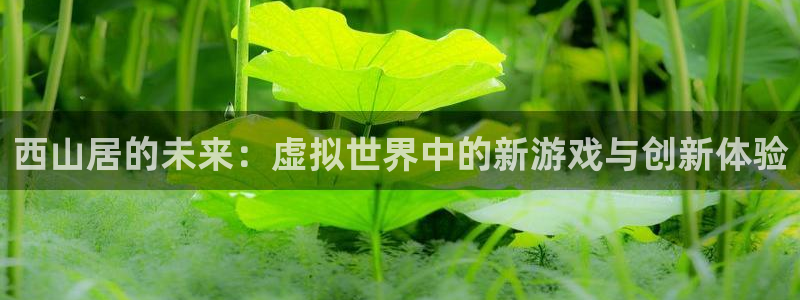 沐鸣2代理官网：西山居的未来：虚拟世界中的新游戏与创新体验