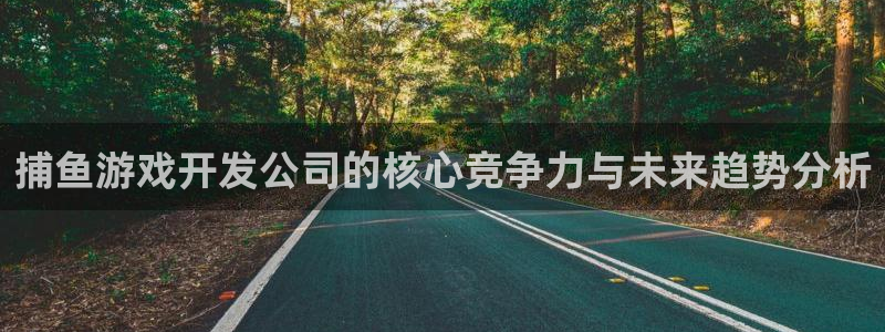 沐鸣2官网网址：捕鱼游戏开发公司的核心竞争力与未来趋势分析
