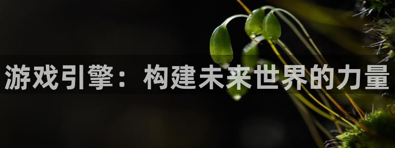 沐鸣2注册33300tg：游戏引擎：构建未来世界的力量