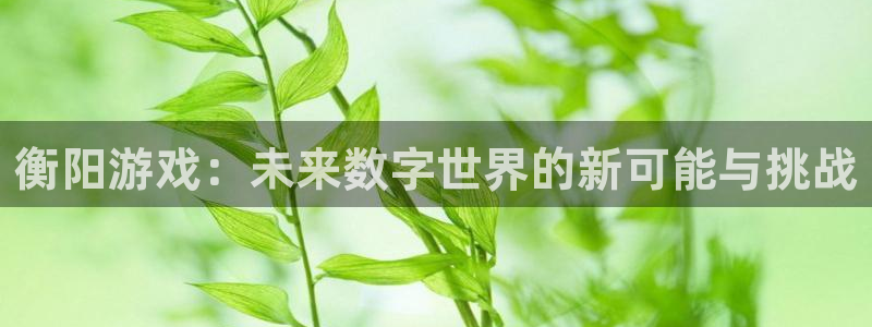沐鸣2登录注册：衡阳游戏：未来数字世界的新可能与挑战