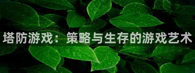 沐鸣娱乐2：塔防游戏：策略与生存的游戏艺术